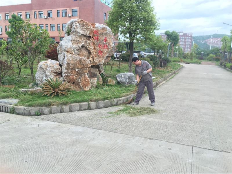 全员加入，，建设卫生厂区