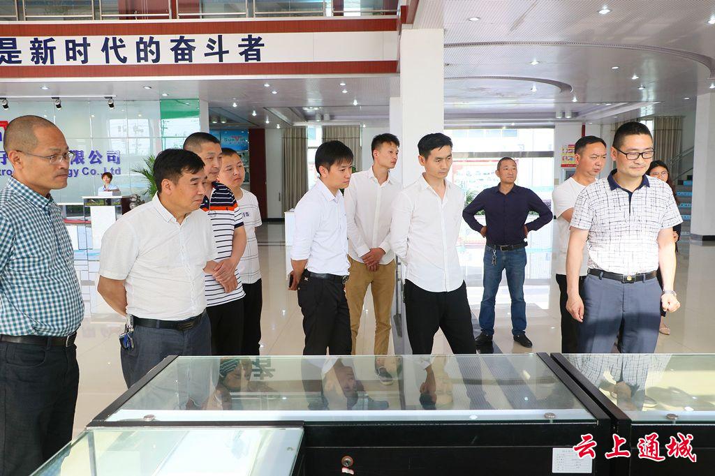 ng电子游戏新能源有限公司一行来通城考察投资情形-ng电子游戏