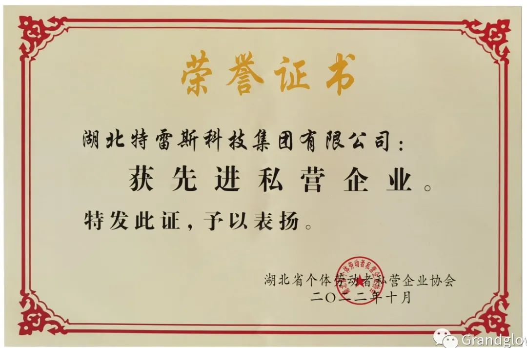 喜讯┃恭喜我司集团公司-特雷斯集团荣获“先进私营企业”-ng电子游戏